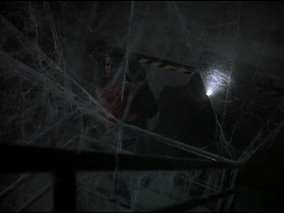 spiders (2000)