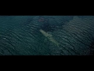 in the mouth of the ocean (great white) 2021, trailer