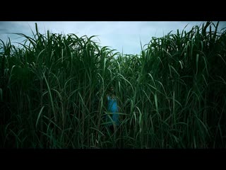 in the tall grass (2019) web-dl 1080p