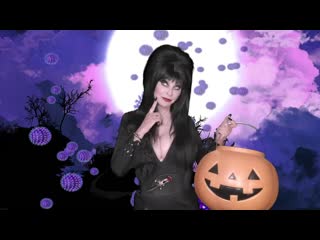 elvira - don t cancel halloween