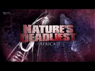 deadly: africa [part 2]